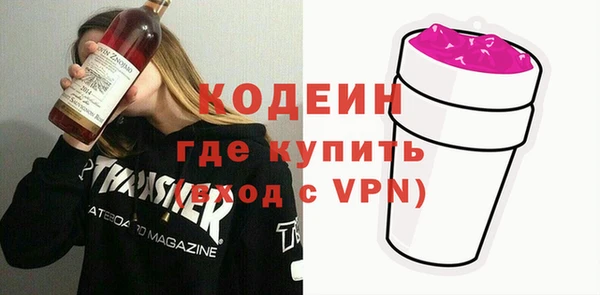 дмт Инсар