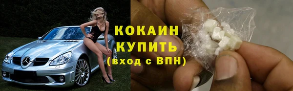 дмт Инсар