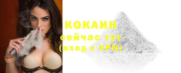 дмт Инсар