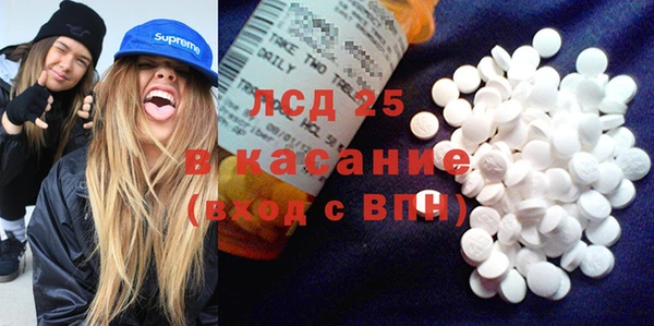 дмт Инсар
