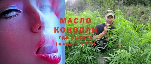 дмт Инсар