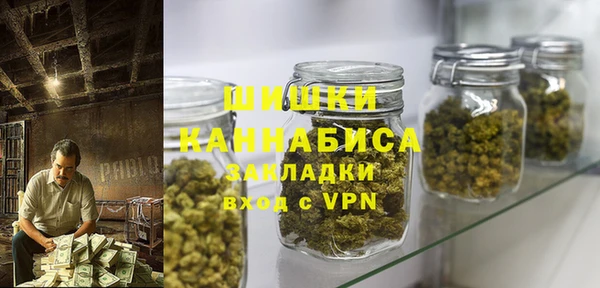дмт Инсар