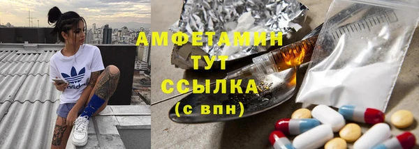 дмт Инсар