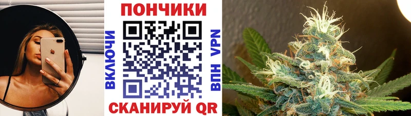 Купить  Талица  Конопля индика 